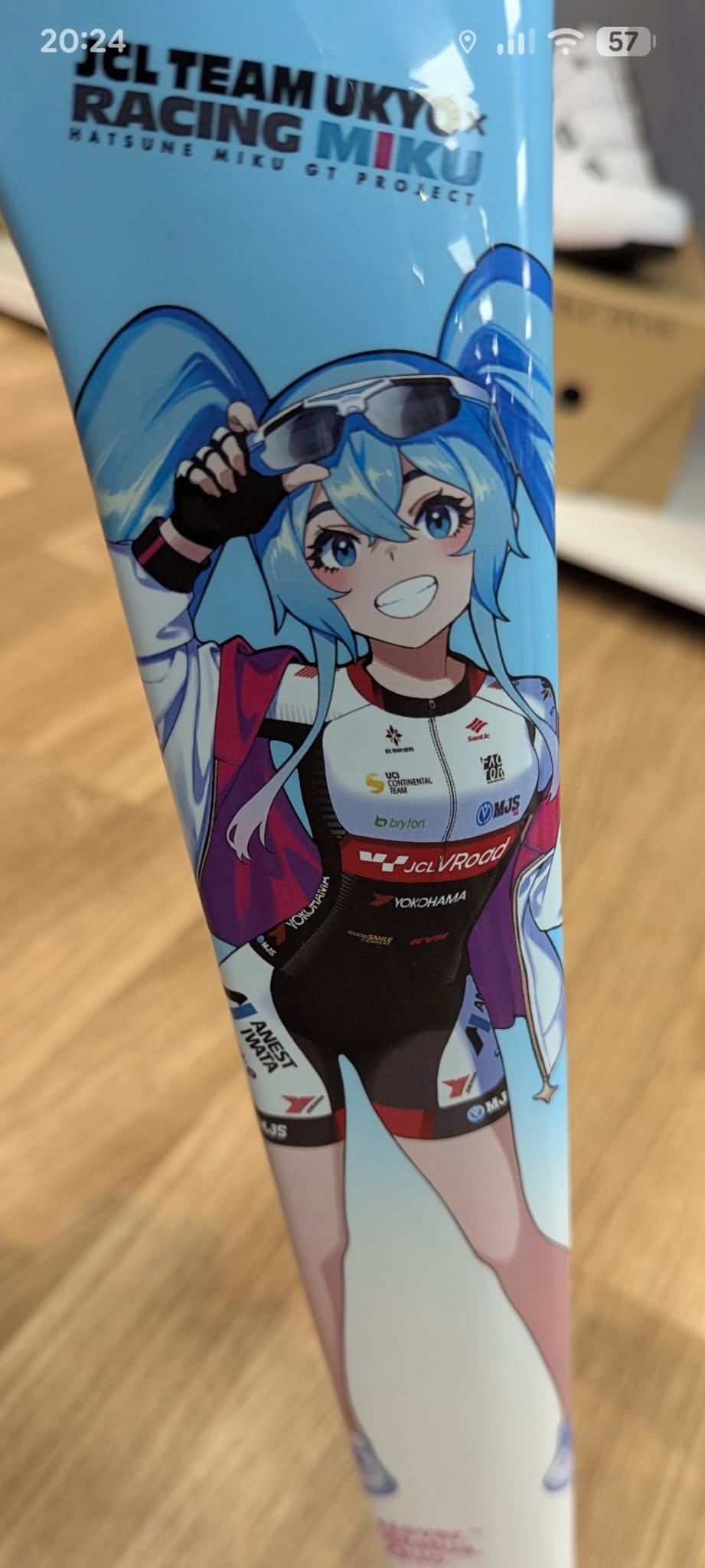 MIKU 1.jpg