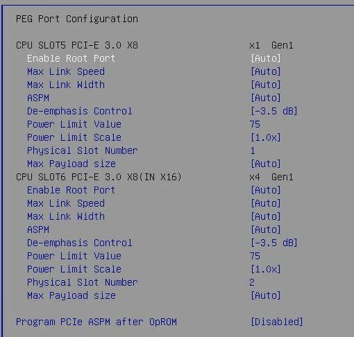 PEG-OK.JPG