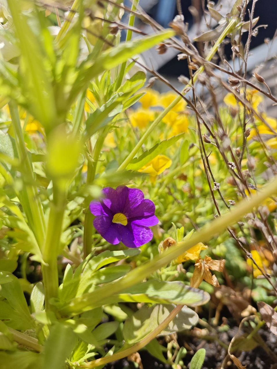 PocoF7Pro (9).jpg