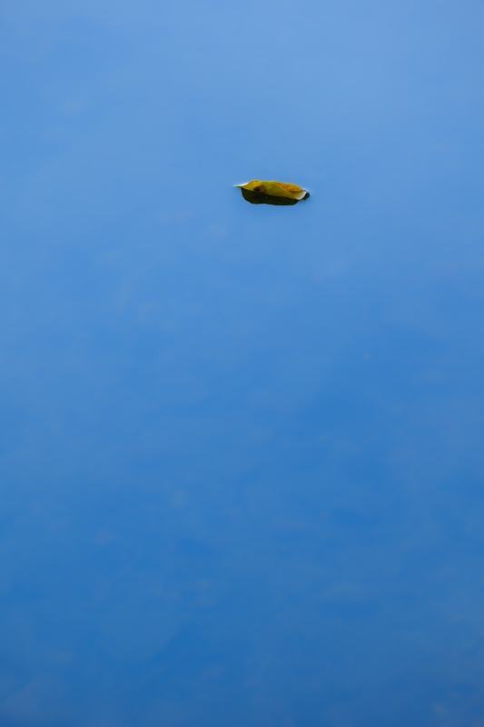 PS5_2422.jpg