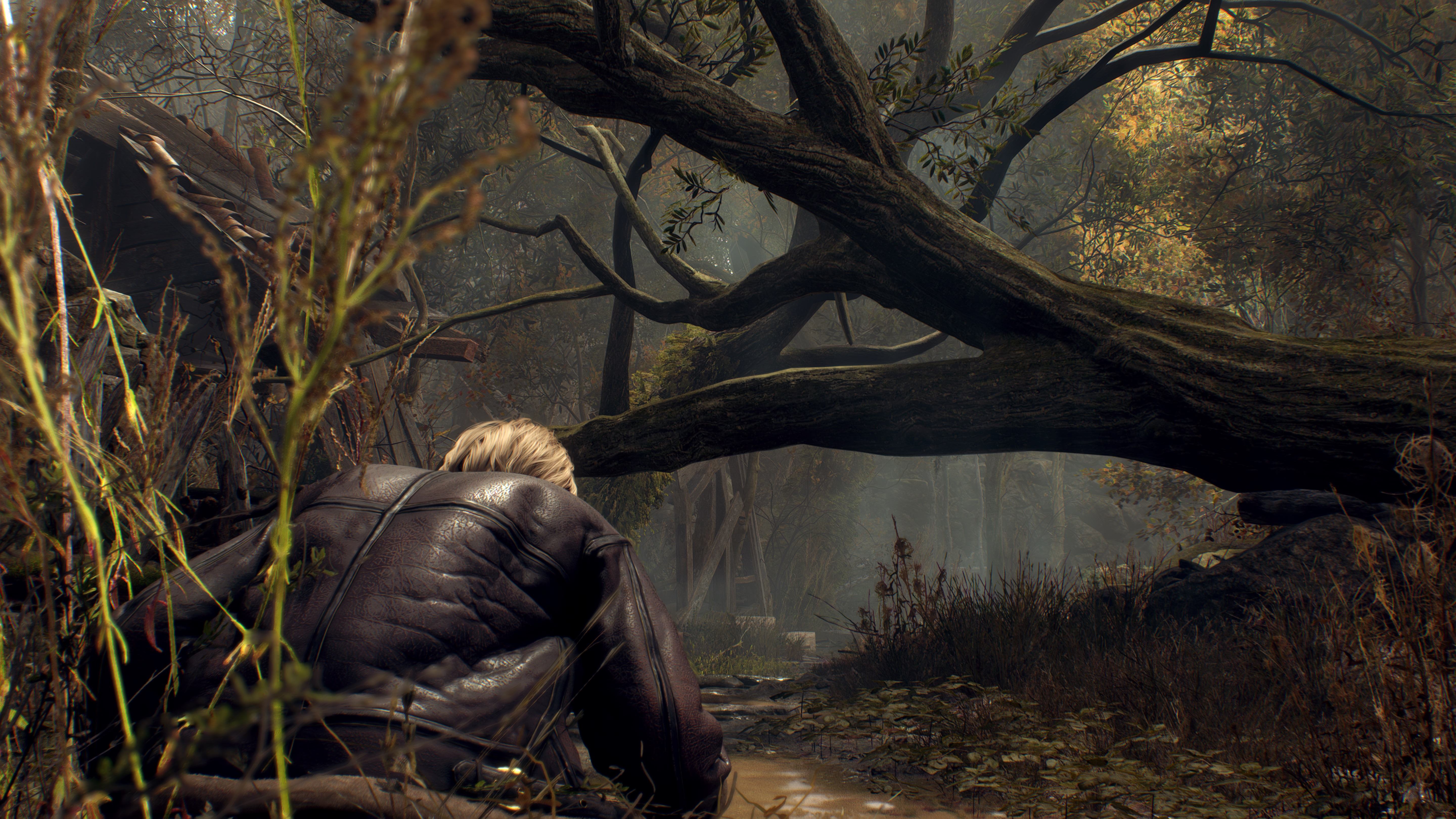 Resident Evil 4   Biohazard 4 Screenshot 2023.11.11 - 22.53.41.77.jpg