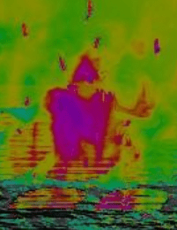 Screenshot 2025-11-29 212646.png