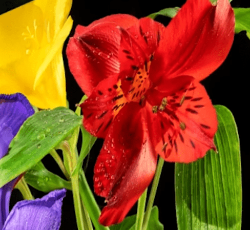 Screenshot 2025-12-12 014848.png