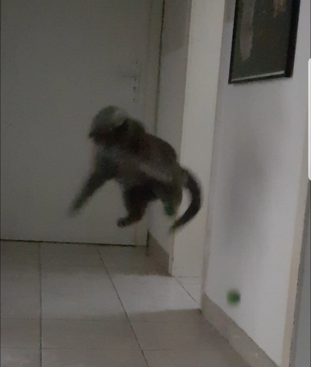 Screenshot_20250705-212111_Video Player.jpg