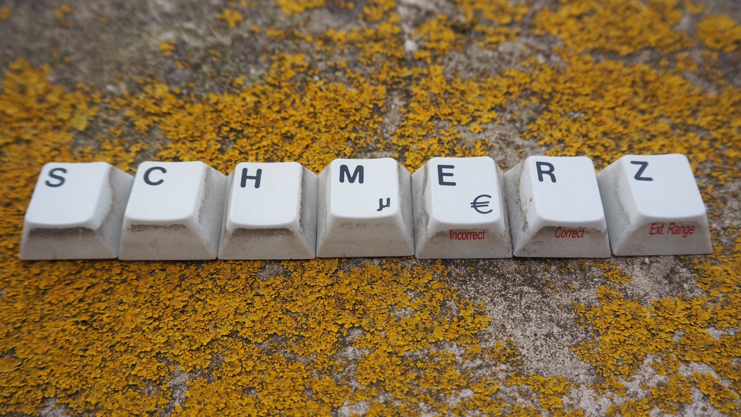 Siemens-Unity-2 (7).JPG