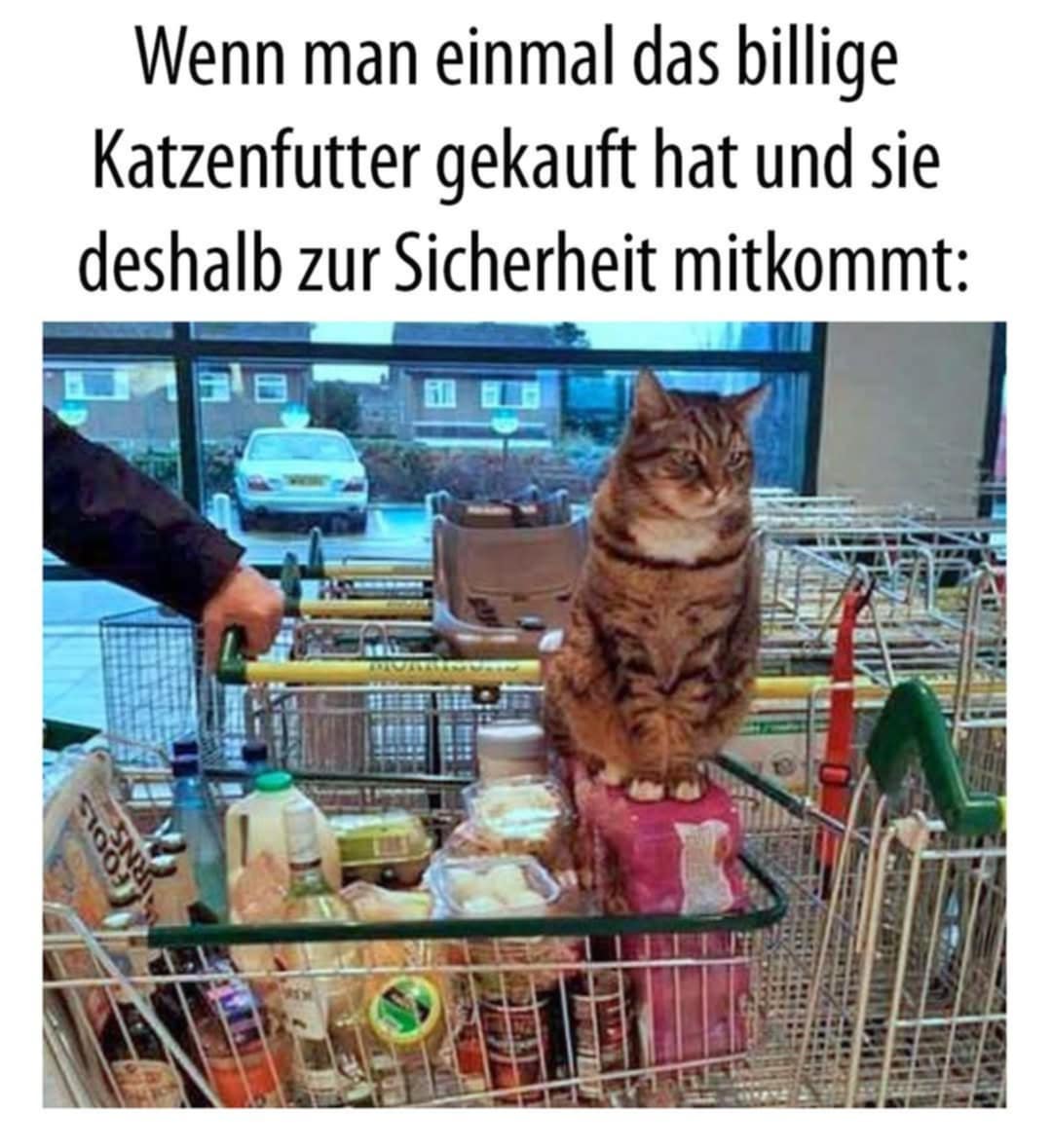 Unbenannt.jpeg