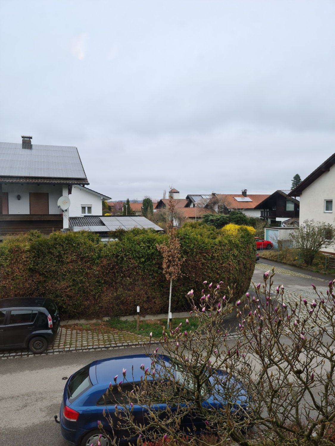 Wetter.jpg