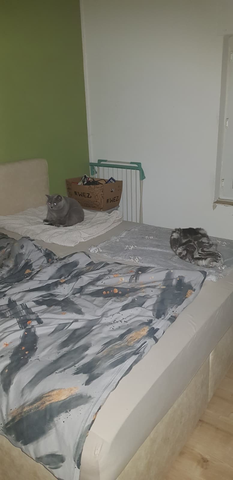 WhatsApp Bild 2025-11-03 um 23.59.52_4ef0dde6.jpg