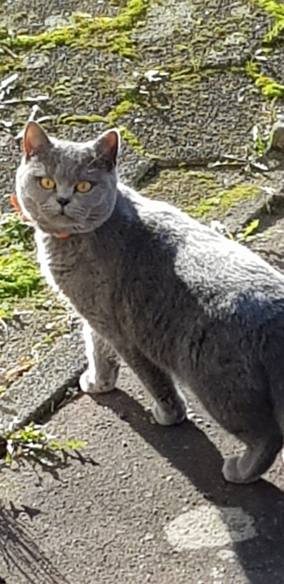 WhatsApp Bild 2025-11-10 um 14.40.22_40ea83f2.jpg