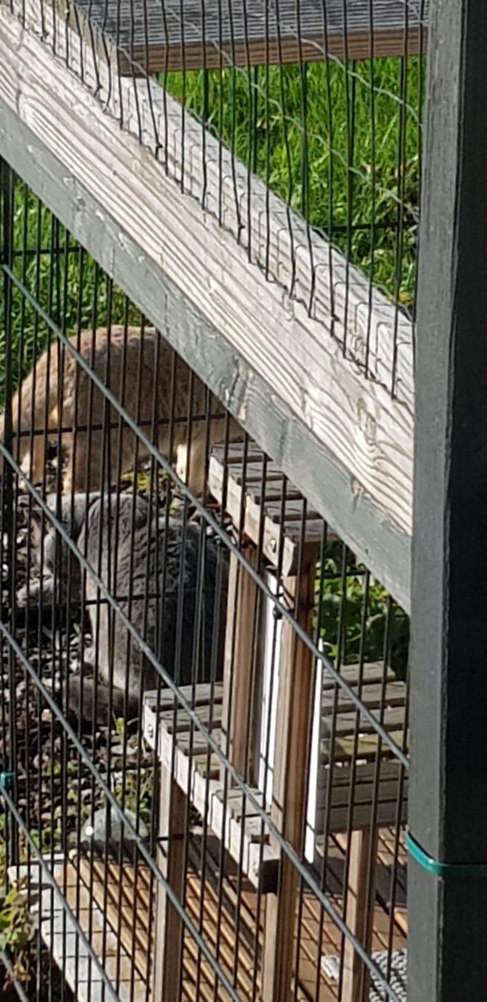 WhatsApp Bild 2025-11-10 um 14.40.22_e1e9b77d.jpg