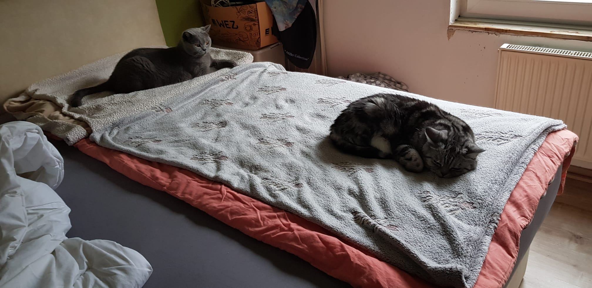 WhatsApp Bild 2025-11-19 um 13.58.29_58ef868b.jpg