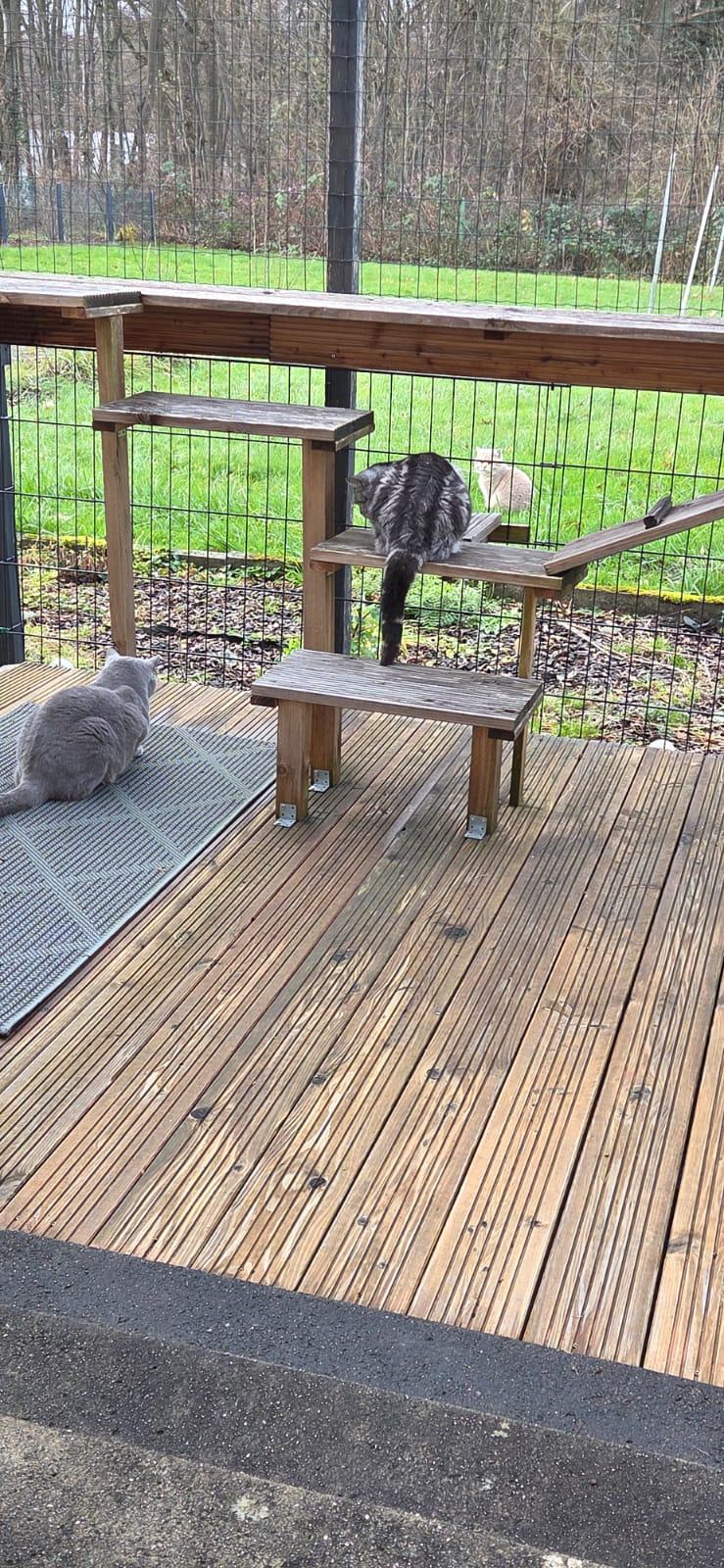 WhatsApp Bild 2025-12-07 um 12.29.53_05e2f00e.jpg