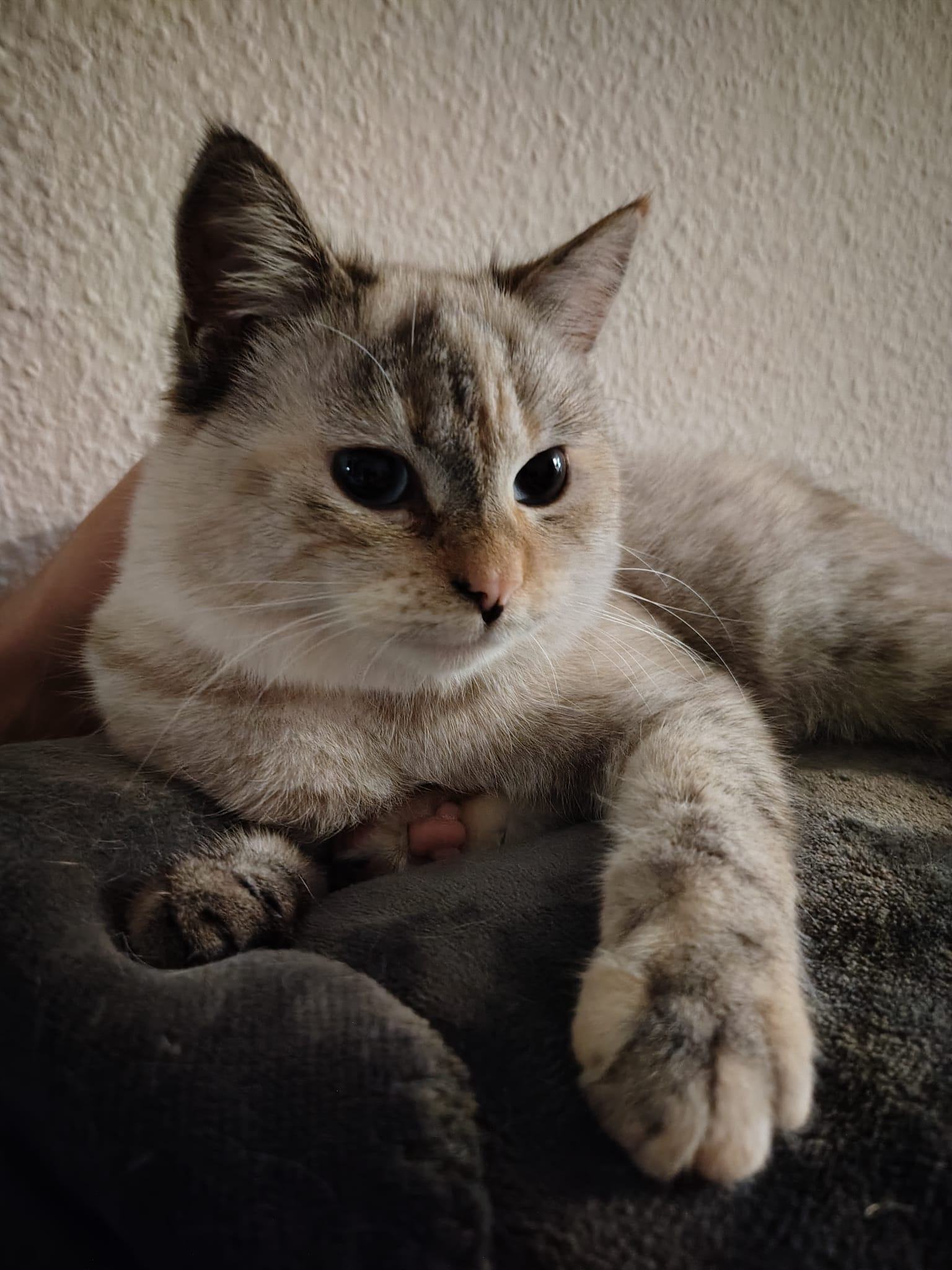 WhatsApp Image 2025-11-26 at 14.22.38.jpeg