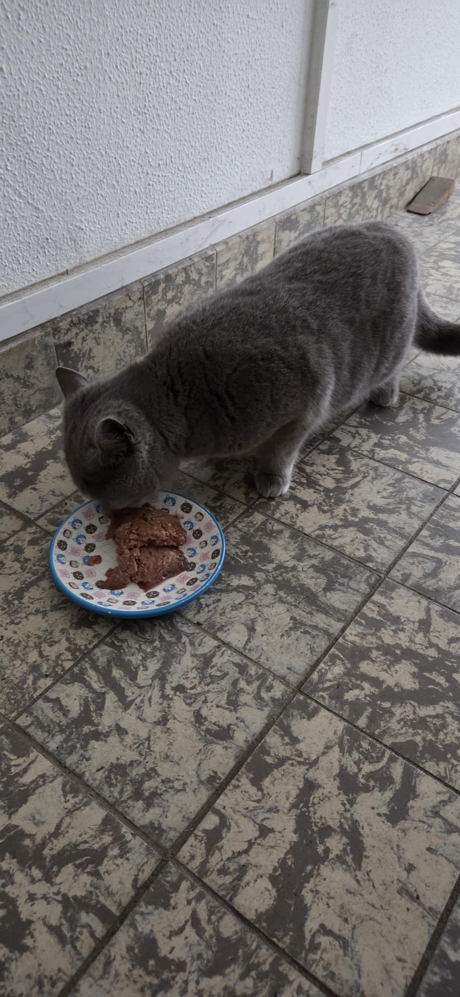 WhatsApp Image 2025-12-20 at 17.08.46.jpeg