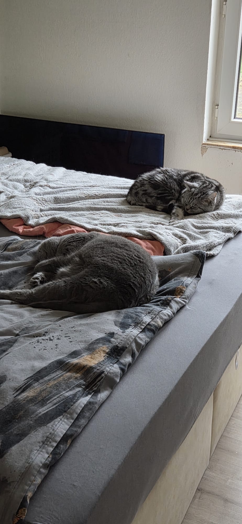 WhatsApp Image 2025-12-22 at 13.51.52.jpeg