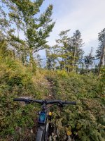 WhatsApp Bild 2025-08-27 um 18.36.55_2abcdb6e.jpg