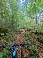 WhatsApp Bild 2025-08-27 um 18.36.54_6675cd61.jpg