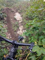 WhatsApp Bild 2025-08-27 um 18.36.55_f74fc88d.jpg