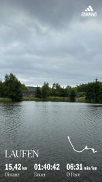 IMG_7804.jpeg