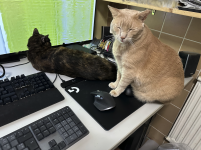 Bildschirmfoto 2025-08-31 um 16.57.16.png