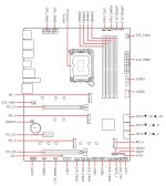 IMG_1938.jpeg