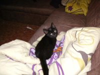 IMG_1426.jpeg