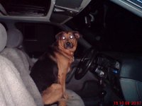 IMG_1417.jpeg