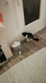 IMG_0010.JPG