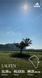 IMG_7854.jpeg