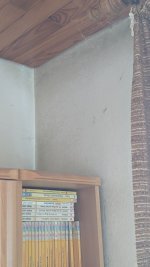 PXL_20250907_111235812.jpg