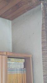 PXL_20250907_111236142.jpg