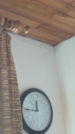 PXL_20250907_111251092.jpg