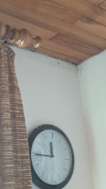 PXL_20250907_111250970.jpg