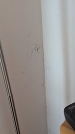 PXL_20250907_111258291.jpg