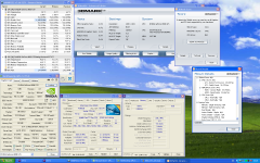 8800_GTS_320_Sparkle_06.PNG