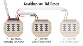 elektro-telefondose-anschluss-von-tae-dosen-grafik-us.jpg