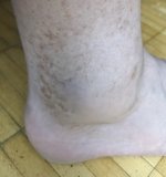 Screenshot 2025-09-19 210927.jpg