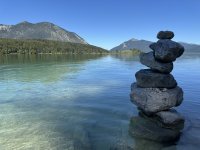 IMG_8382.jpeg