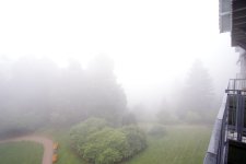 DSC04579.jpg