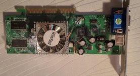 IMG_9175.jpeg