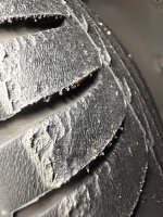 IMG_4950.jpeg