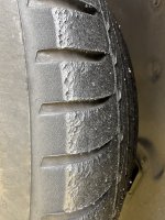 IMG_4949.jpeg