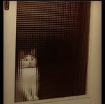 IMG_0131.jpeg