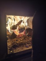 IMG_20251002_194929.jpg
