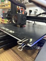 IMG_3821.jpeg