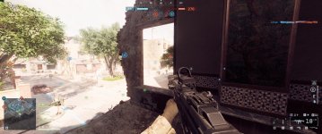 Bloom.jpg