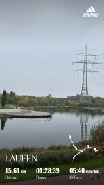 IMG_8552.jpeg