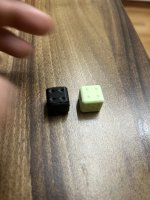 IMG_3976.jpeg