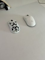 IMG_8799.jpeg