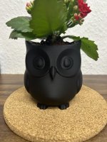 IMG_4051.jpeg
